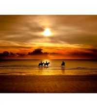 Tableau décoratif - coucher de soleil sur cheval- 100 x 80 cm