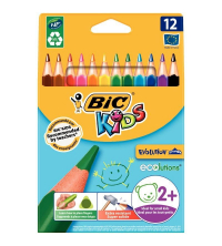 12 Crayons de couleur - Evolution Triangles BIC
