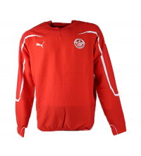 maillot de foot tunisie puma